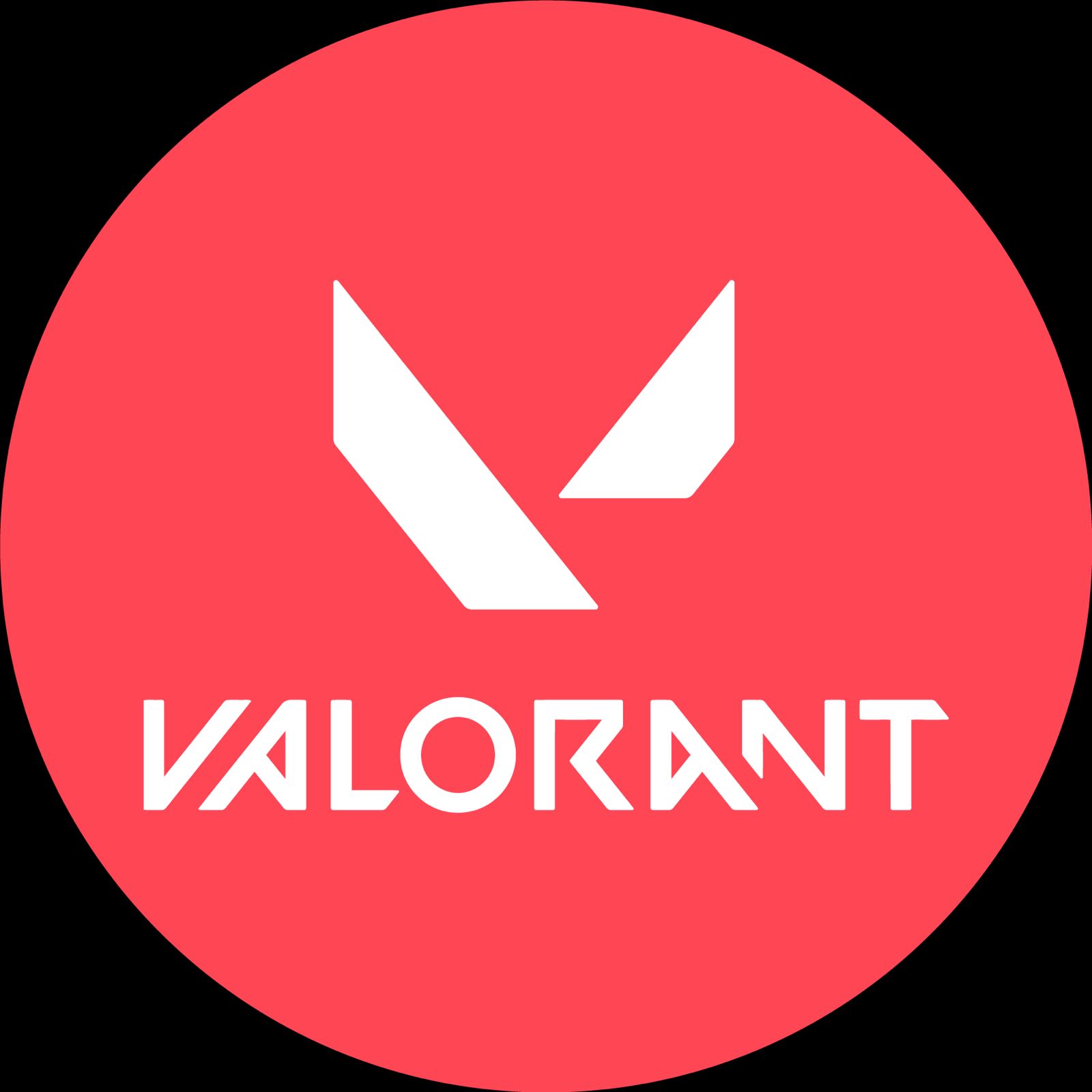 Valorant Gift Card  (USA)